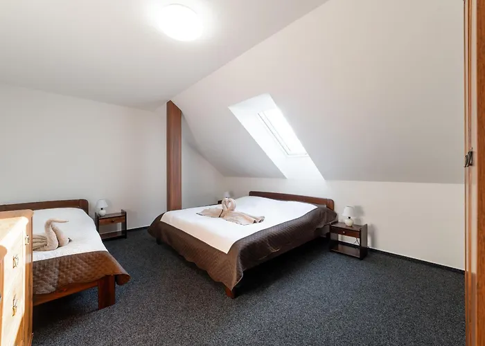 Cechuv Dvur Guest house 3*