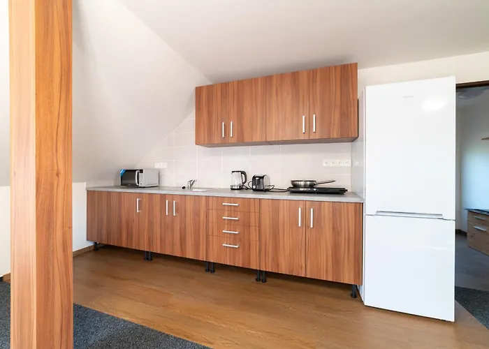 Guest house Cechuv Dvur 3*