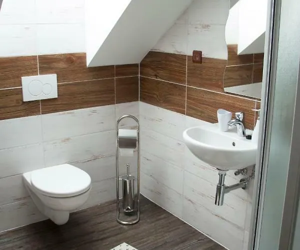 Guest house Cechuv Dvur 3*